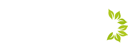 ARMAZÉM DOS GRÃOS